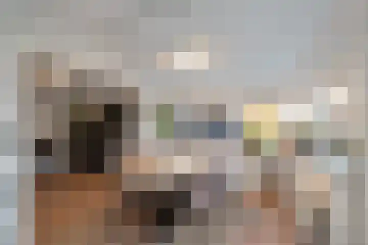Irisstraat 9 Hippolytushoef thumbnail 17