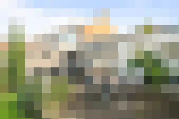 Irisstraat 9 Hippolytushoef thumbnail 27