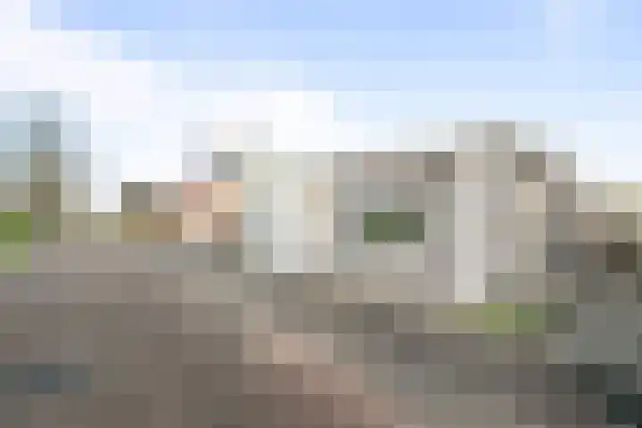 Irisstraat 9 Hippolytushoef thumbnail 5