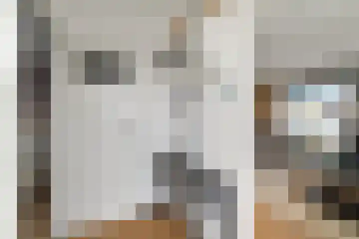 Irisstraat 9 Hippolytushoef thumbnail 6