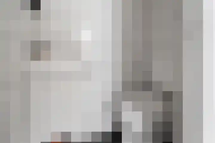 Irisstraat 9 Hippolytushoef thumbnail 7
