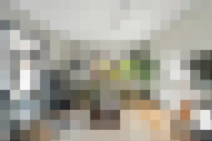 Irisstraat 9 Hippolytushoef thumbnail 9