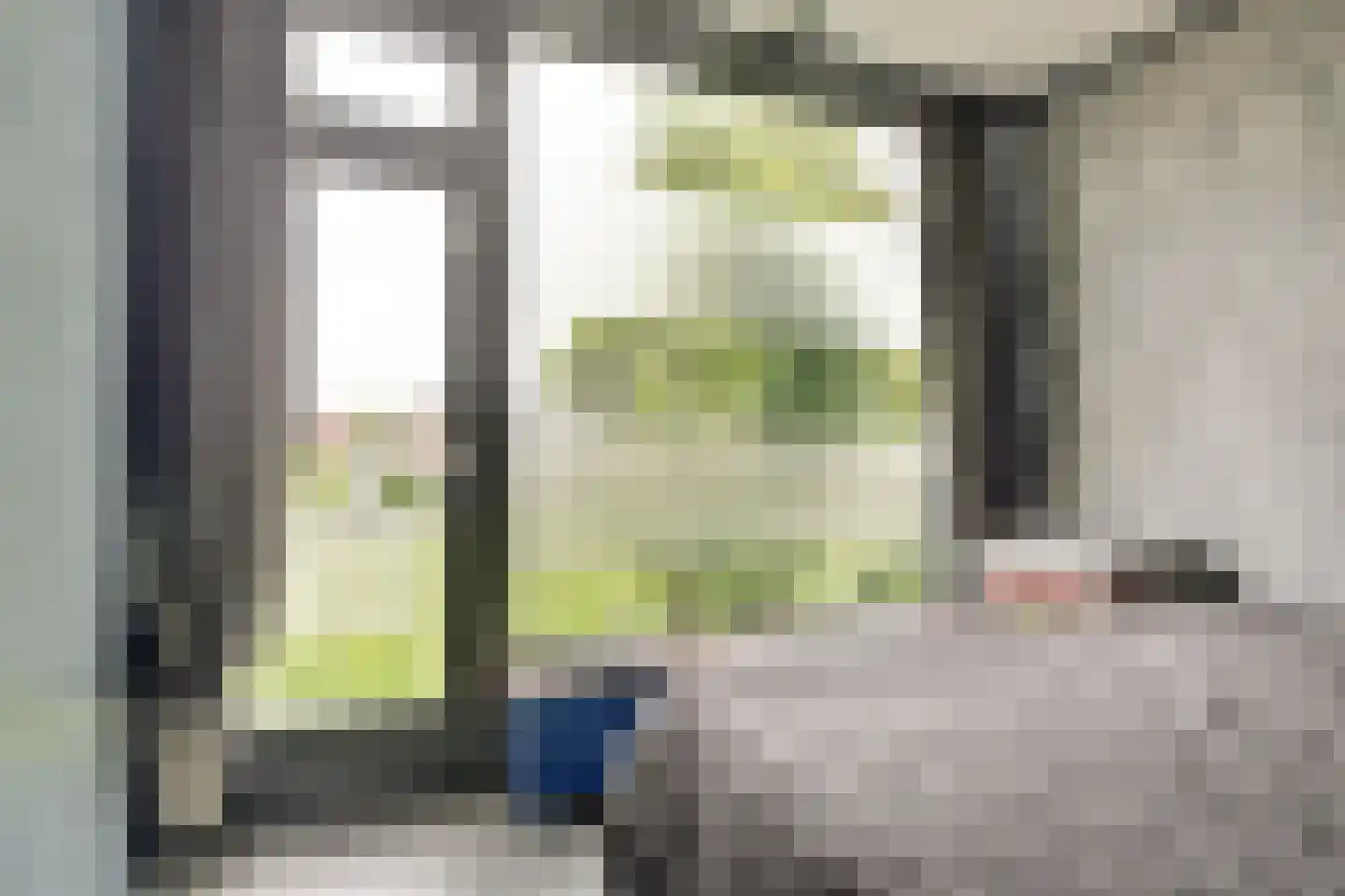 Irisstraat 9 Spijkenisse thumbnail 16