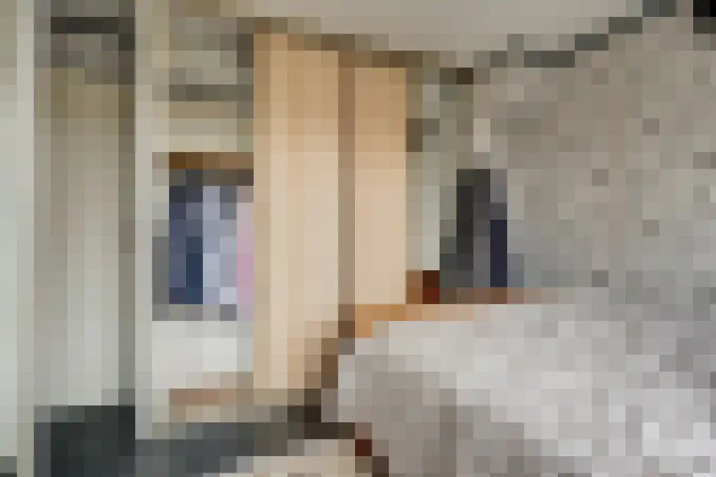 Irisstraat 9 Spijkenisse thumbnail 19