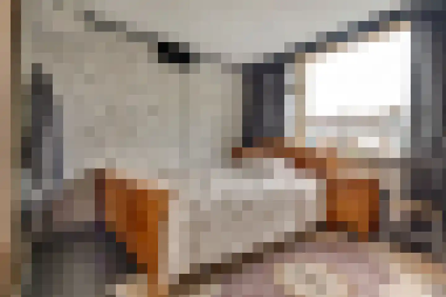 Irisstraat 9 Spijkenisse thumbnail 20