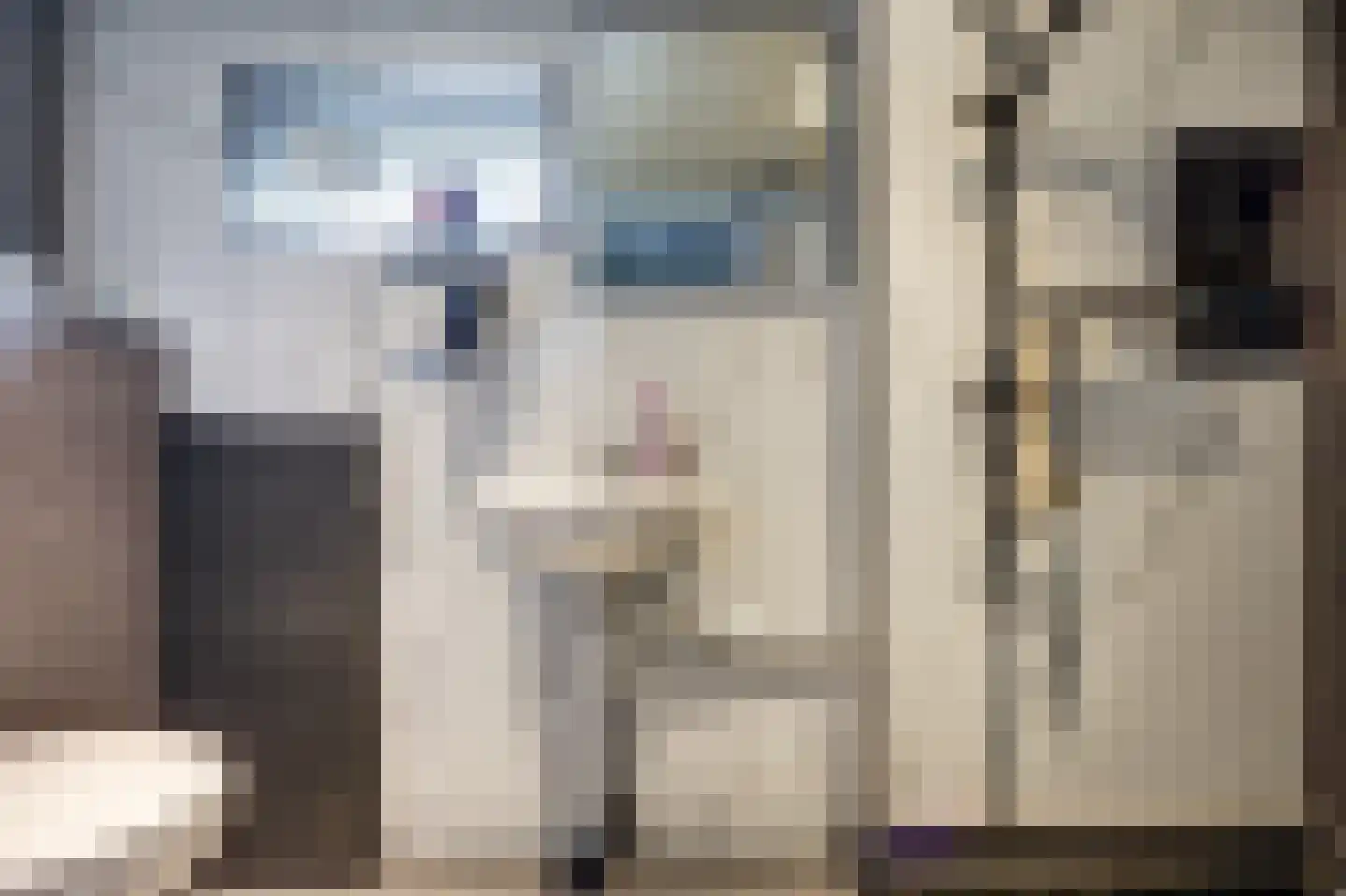 Irisstraat 9 Spijkenisse thumbnail 22