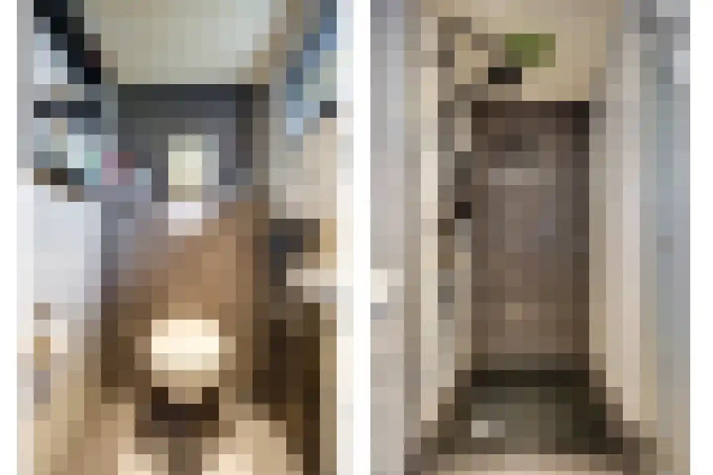 Irisstraat 9 Spijkenisse thumbnail 23