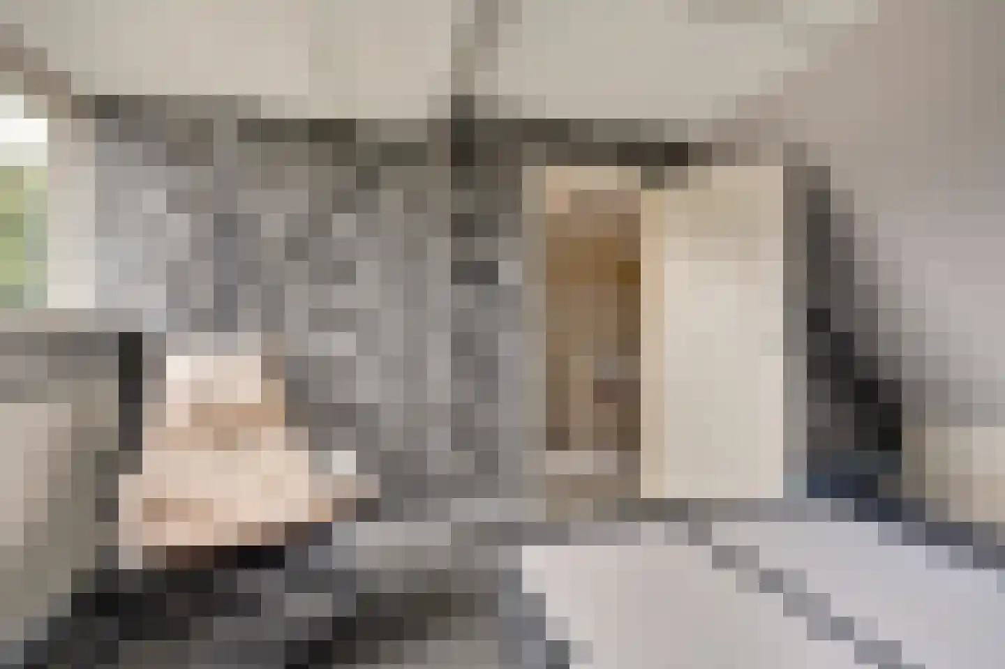 Irisstraat 9 Spijkenisse thumbnail 25