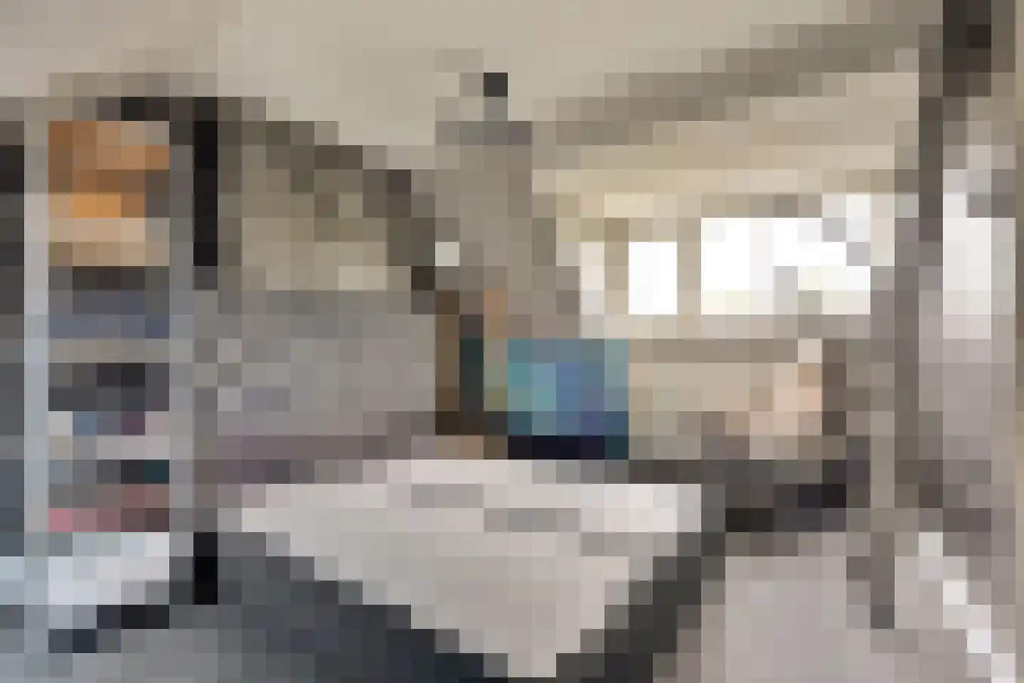 Irisstraat 9 Spijkenisse thumbnail 27