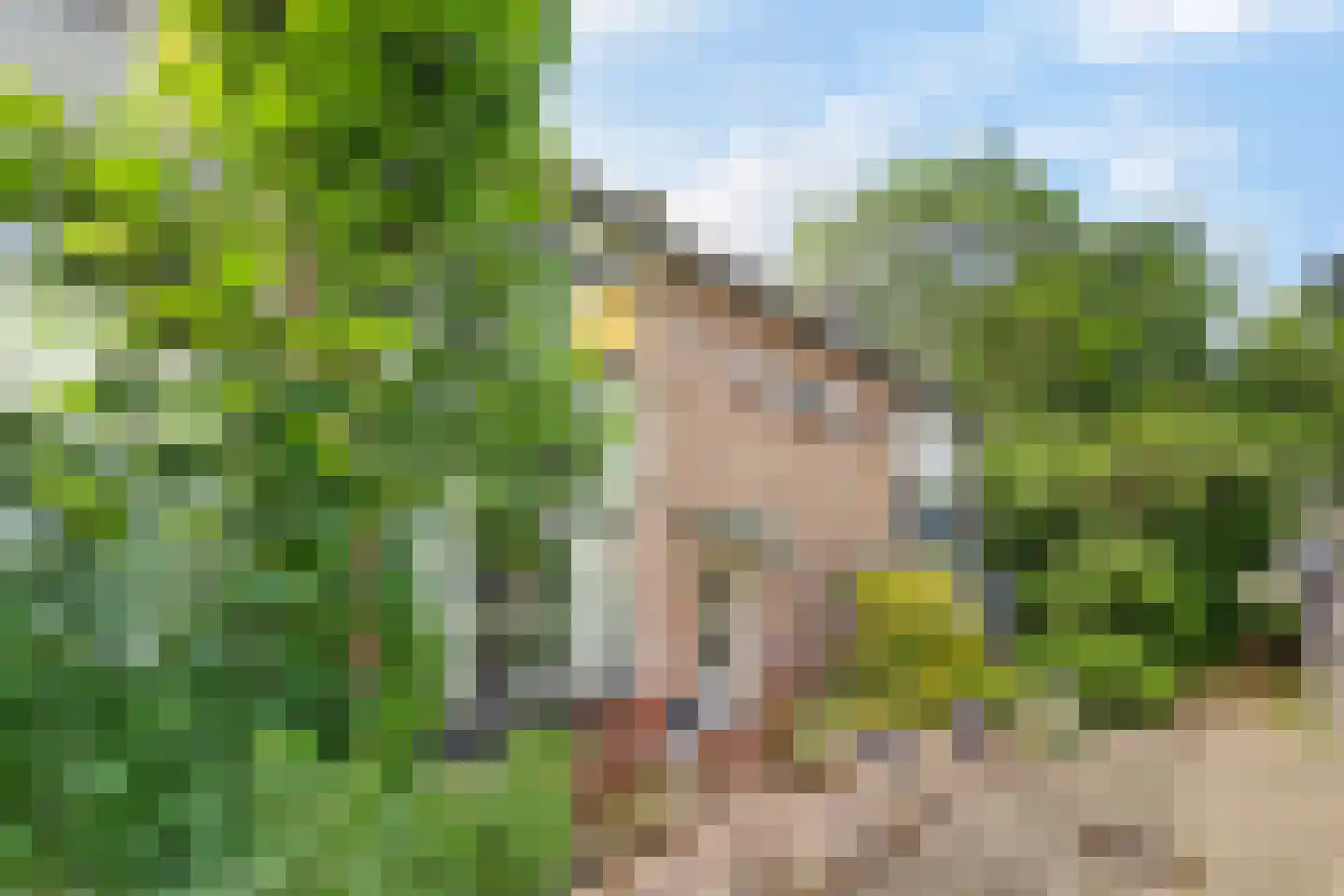 Irisstraat 9 Spijkenisse thumbnail 30