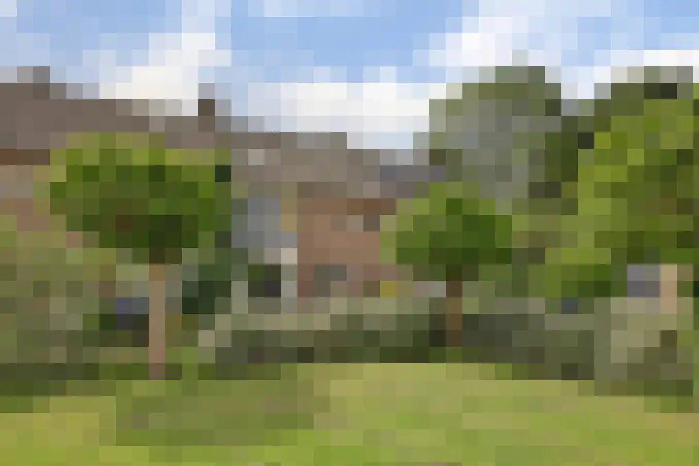 Irisstraat 9 Spijkenisse thumbnail 31