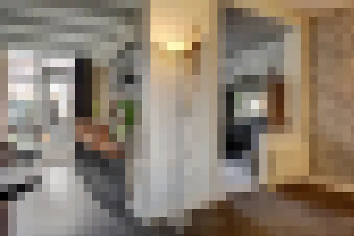 Irisstraat 9 Spijkenisse thumbnail 4
