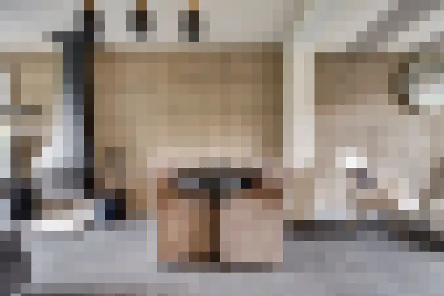 Irisstraat 9 Spijkenisse thumbnail 8