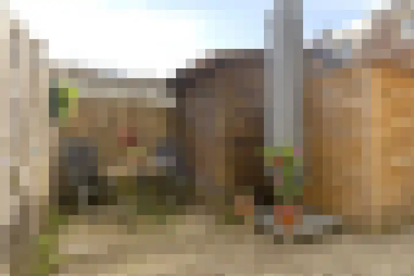 Irisstraat 91 Koog aan de Zaan thumbnail 10