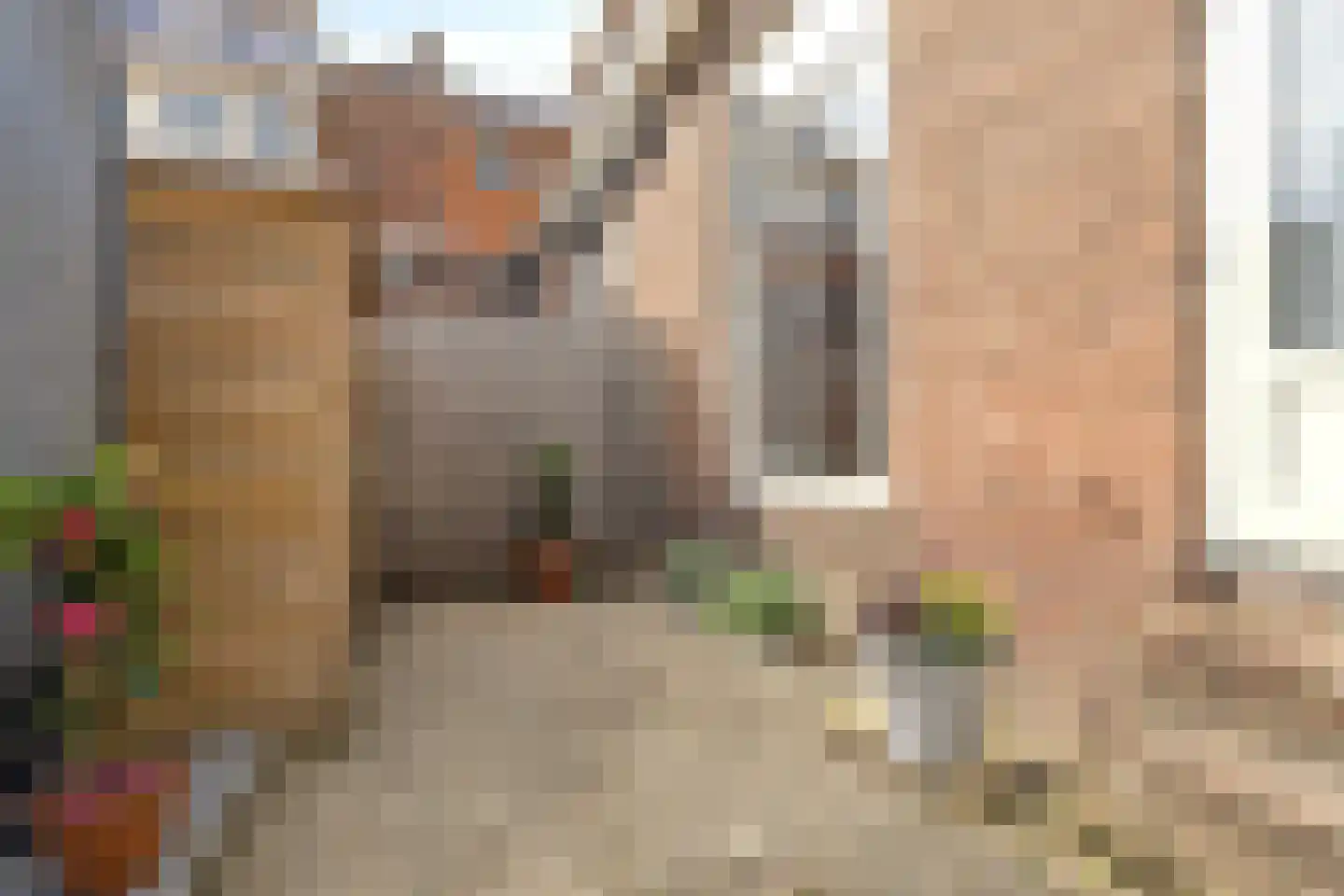 Irisstraat 91 Koog aan de Zaan thumbnail 11