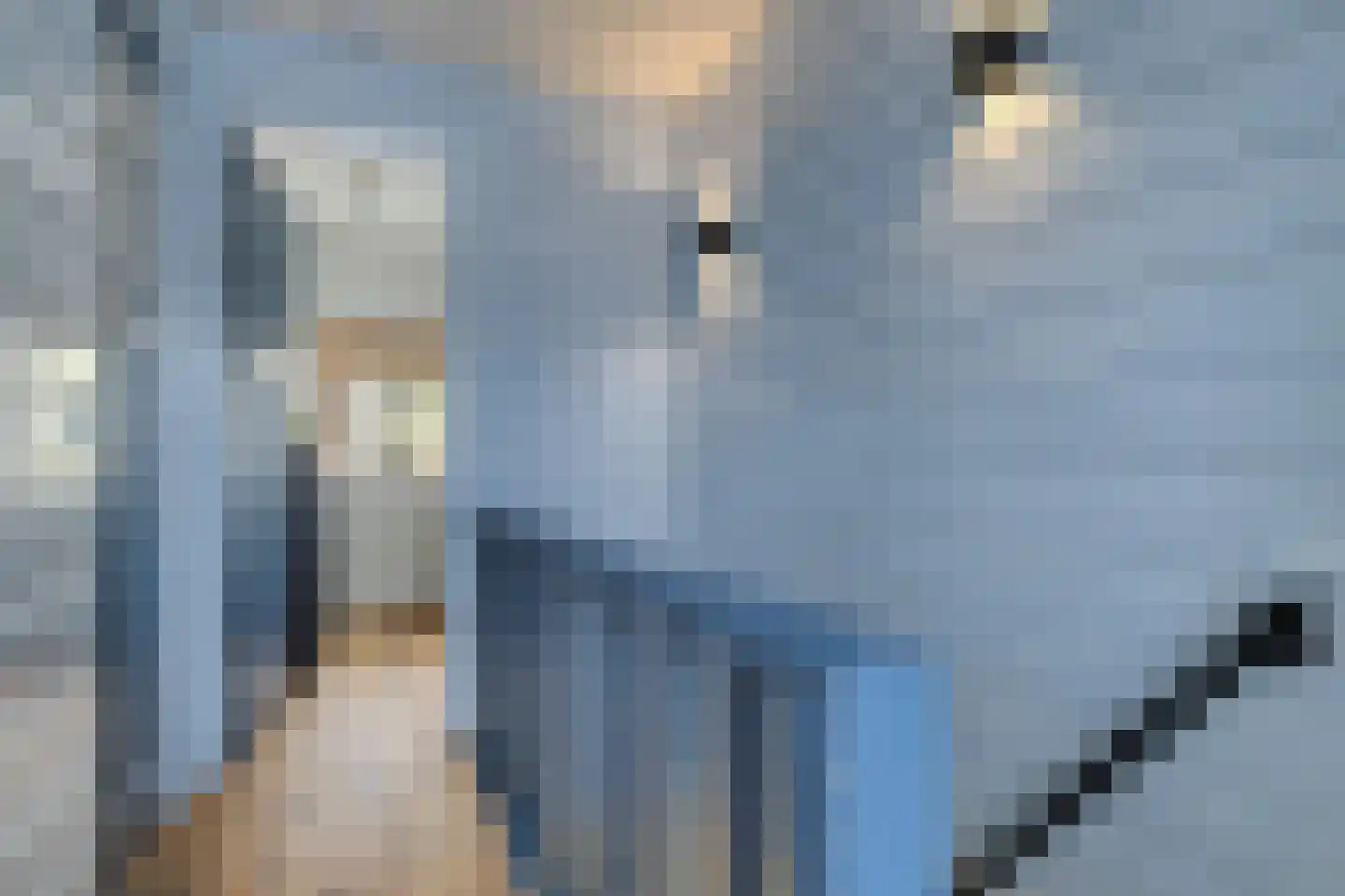 Irisstraat 91 Koog aan de Zaan thumbnail 17
