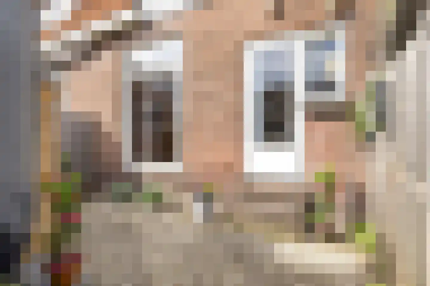 Irisstraat 91 Koog aan de Zaan thumbnail 30