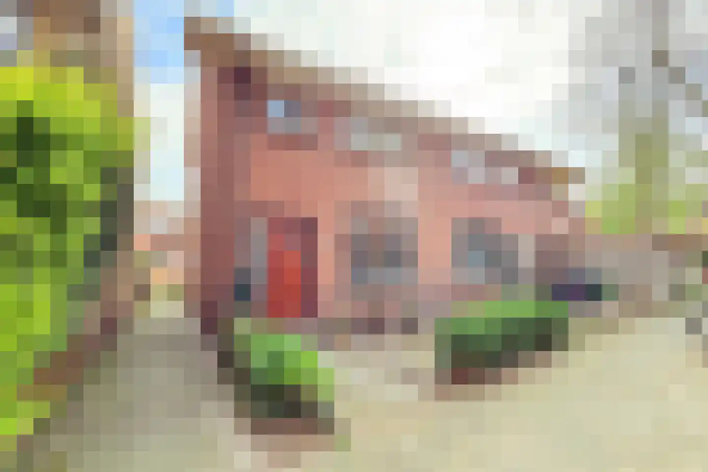 Irisstraat 91 Koog aan de Zaan thumbnail 31