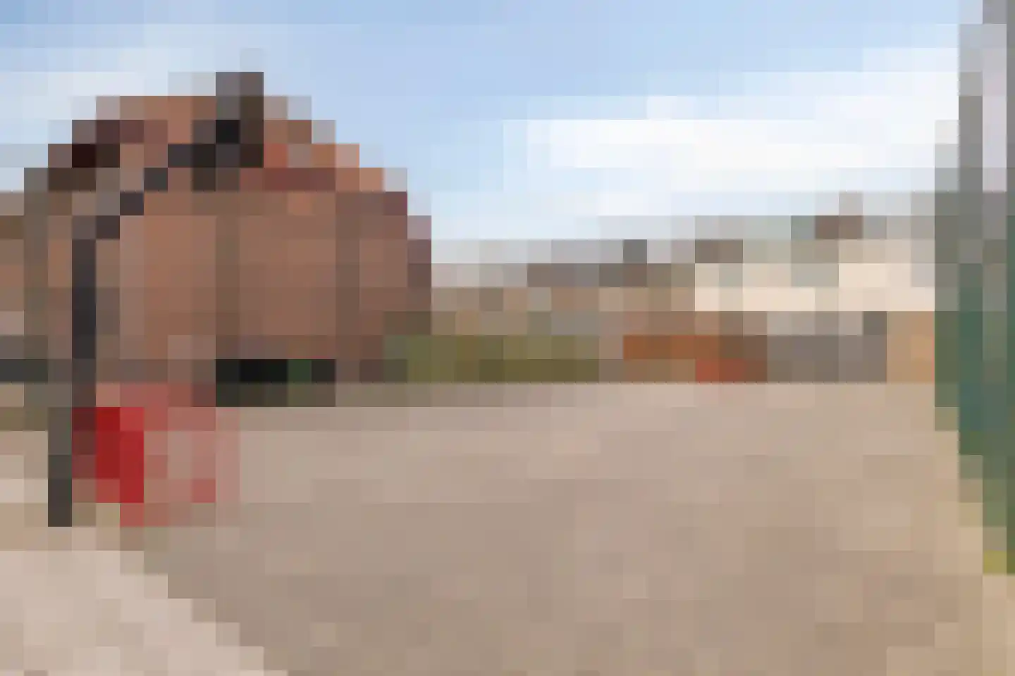 Irisstraat 91 Koog aan de Zaan thumbnail 34