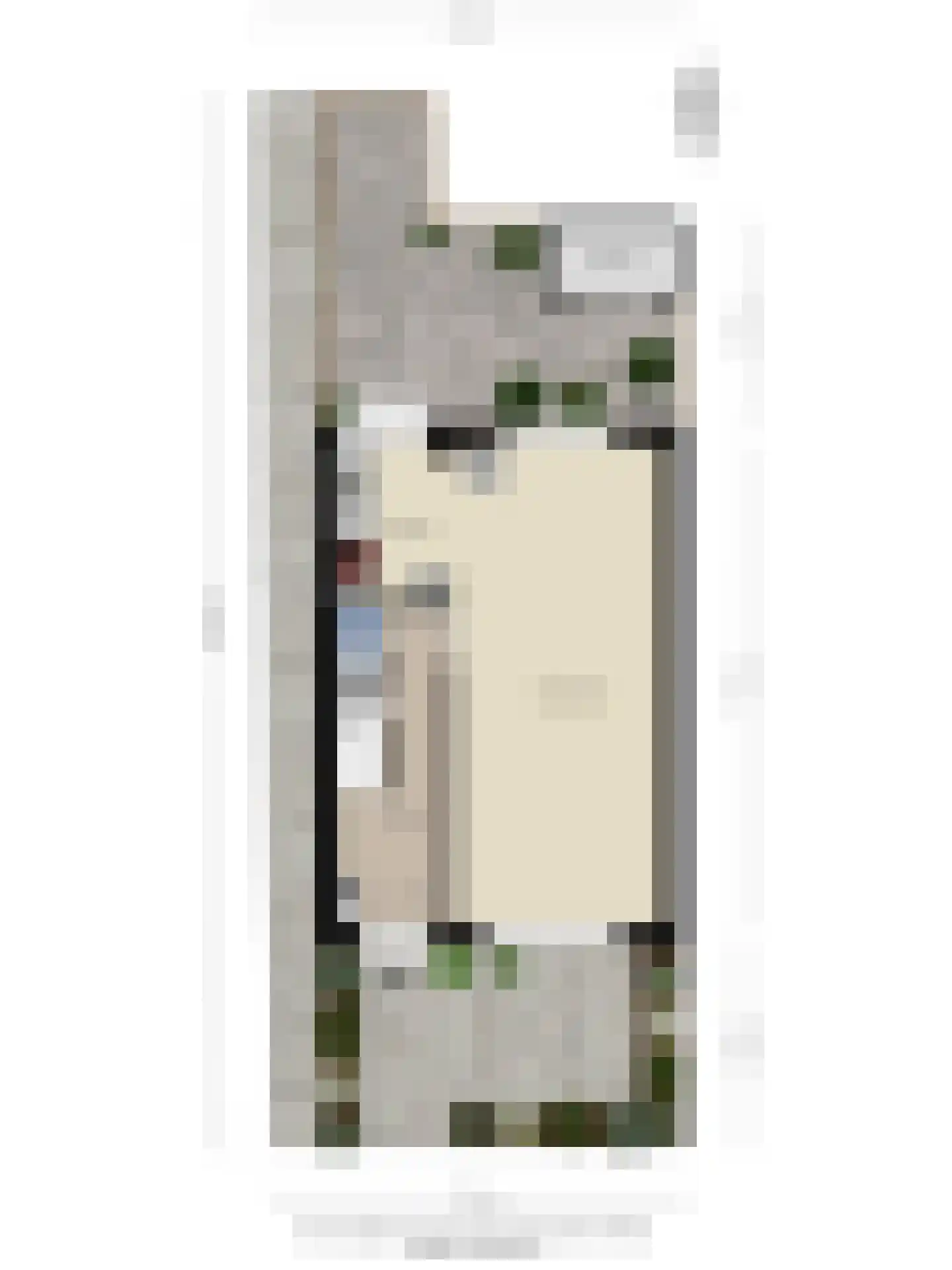 Irisstraat 91 Koog aan de Zaan thumbnail 45