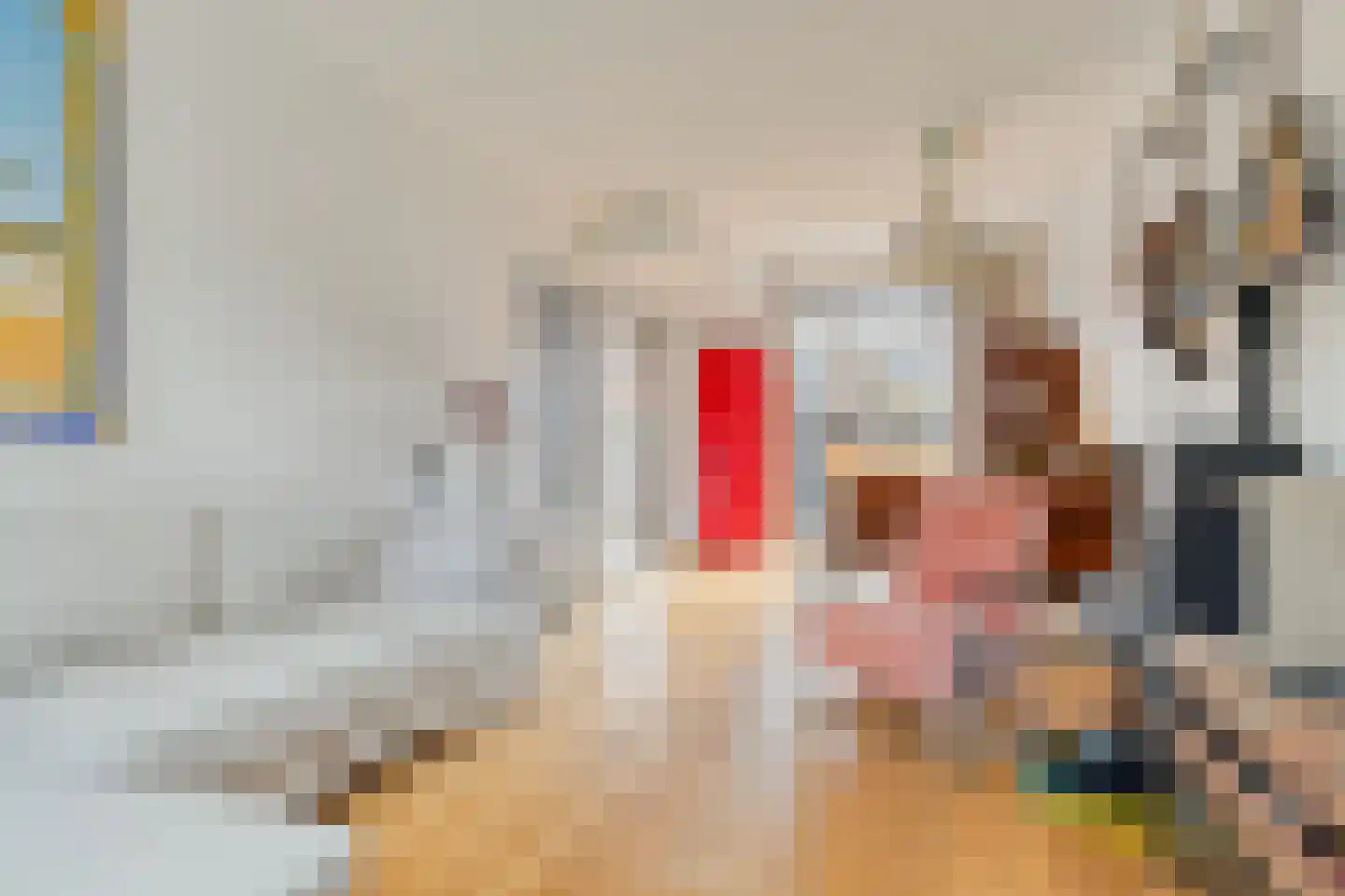 Irisstraat 91 Koog aan de Zaan thumbnail 6