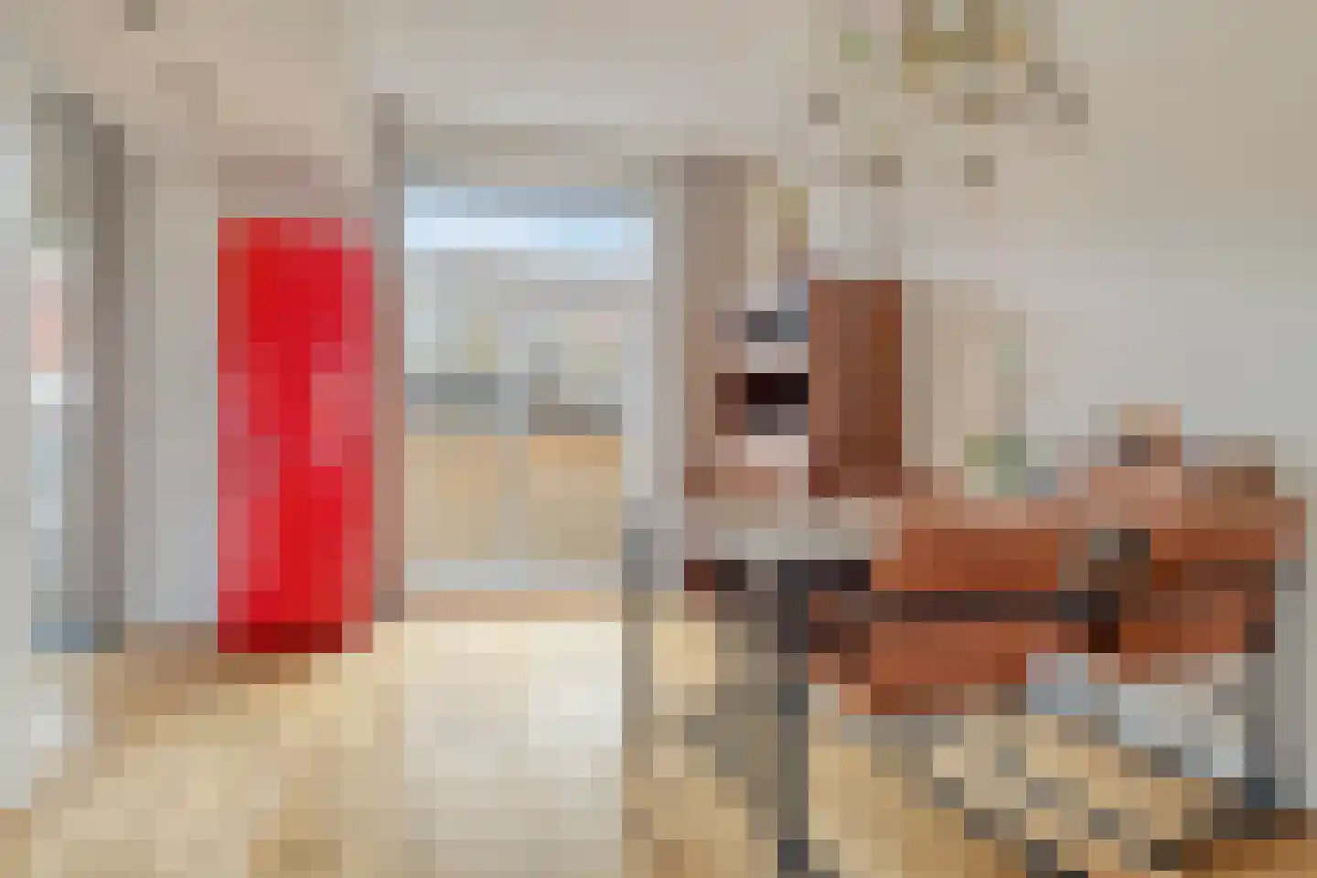 Irisstraat 91 Koog aan de Zaan thumbnail 7