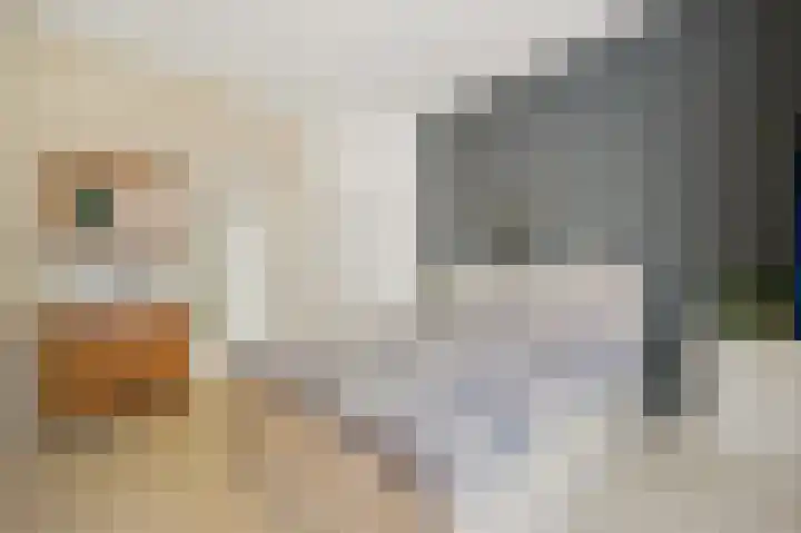 Irisstraat 92 Den Haag thumbnail 20