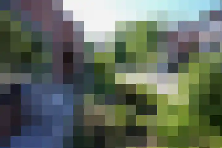 Irmgardstraat 9 Vaals thumbnail 26