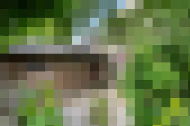 Irmstraat 11 Simpelveld thumbnail 10