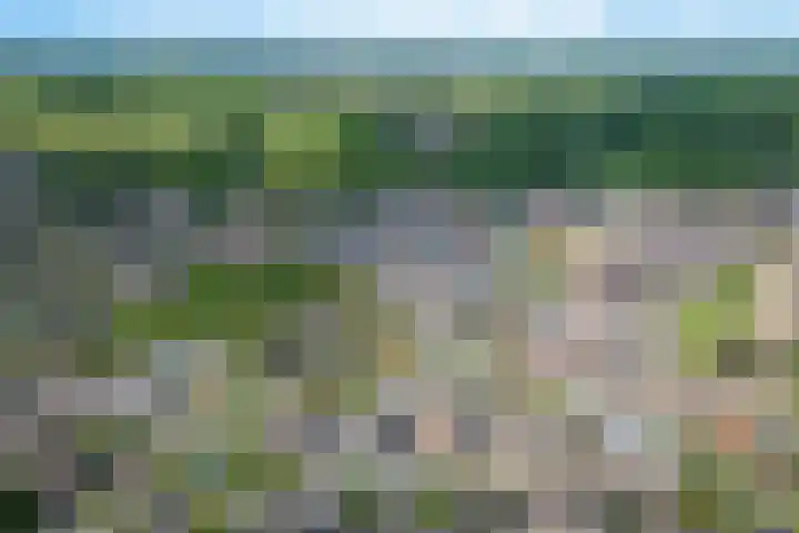 Irmstraat 11 Simpelveld thumbnail 11