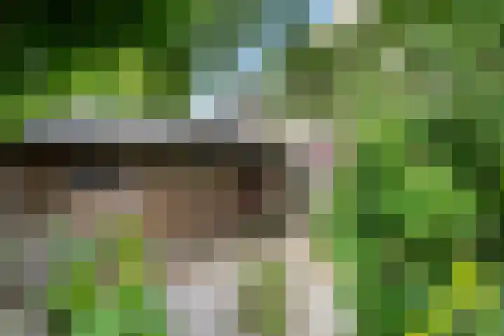 Irmstraat 11 Simpelveld thumbnail 16