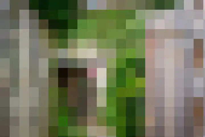 Irmstraat 11 Simpelveld thumbnail 17