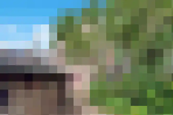 Irmstraat 11 Simpelveld thumbnail 6