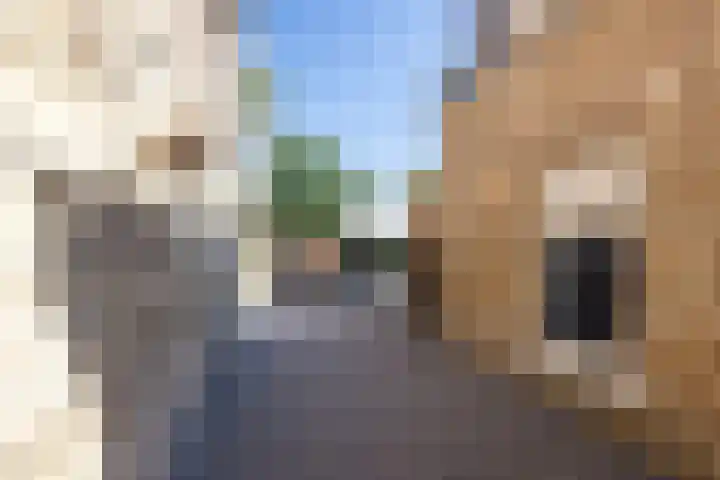Irmstraat 35 Simpelveld thumbnail 30