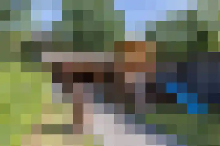 Irmstraat 35 Simpelveld thumbnail 37