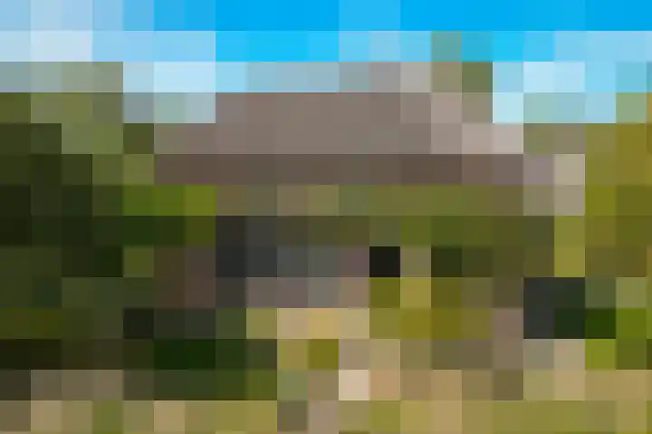 Irmstraat 60 Simpelveld thumbnail 13