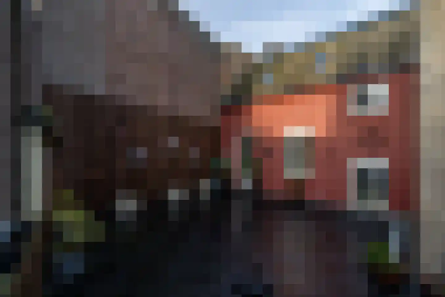 Irmstraat 60 Simpelveld thumbnail 31