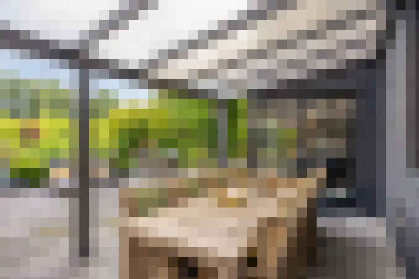 Iroko 141 Dordrecht thumbnail 42