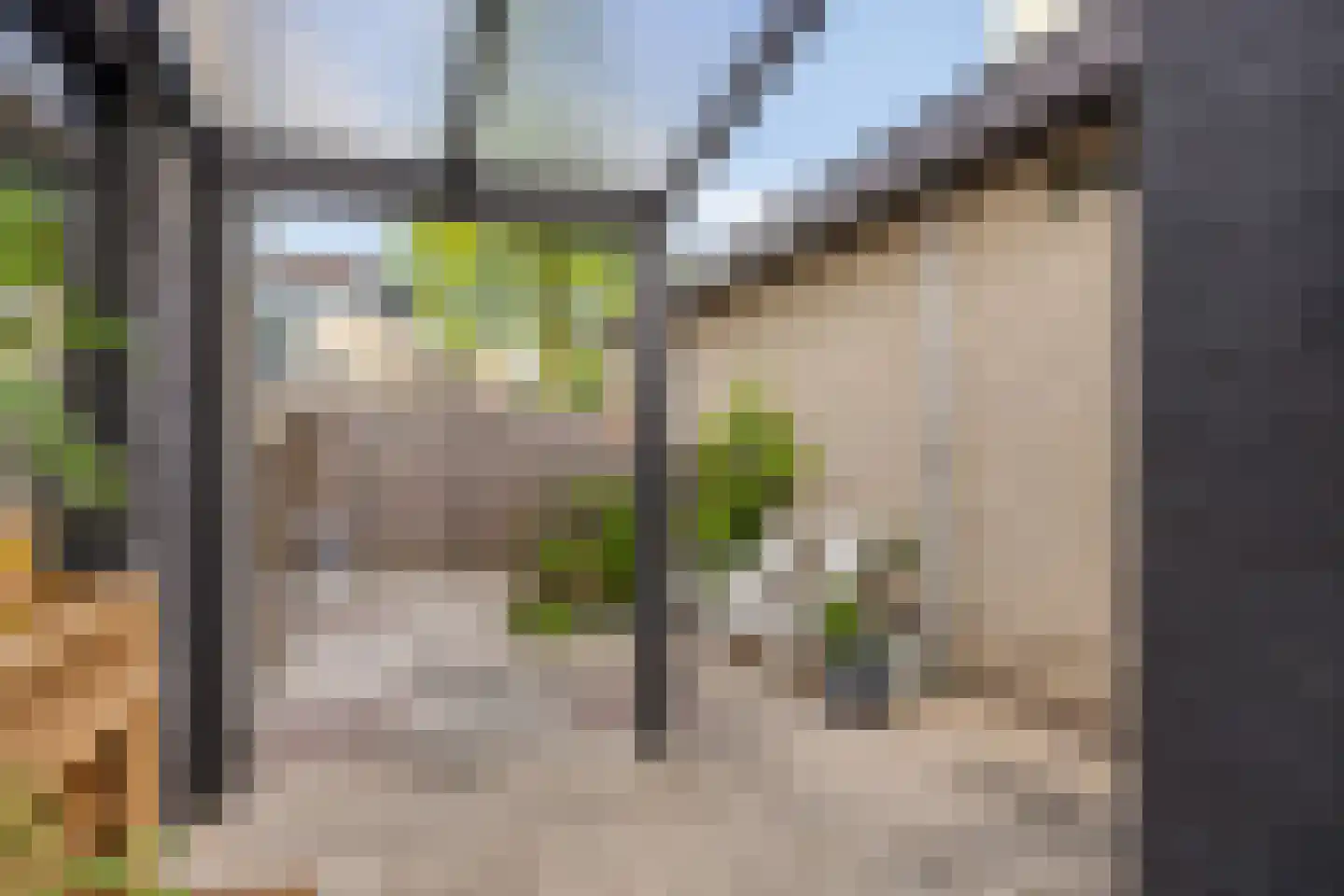 Iroko 141 Dordrecht thumbnail 49