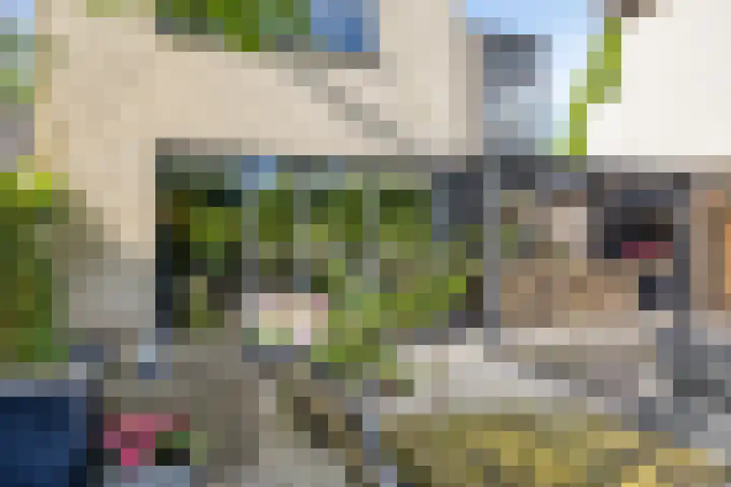 Iroko 141 Dordrecht thumbnail 52