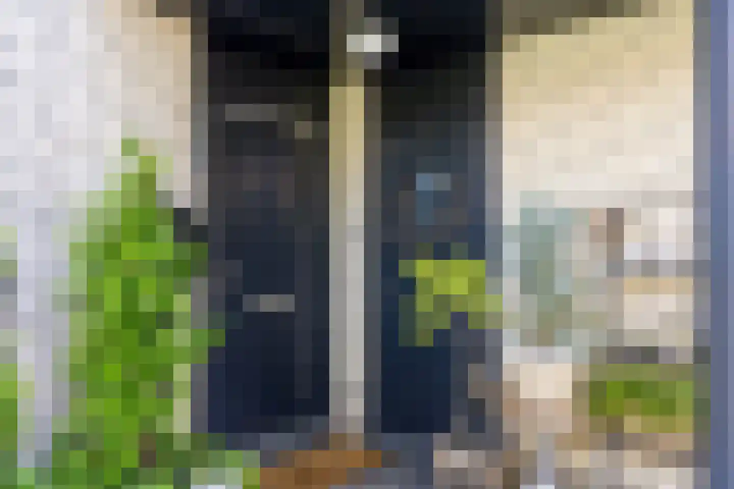 Iroko 141 Dordrecht thumbnail 6