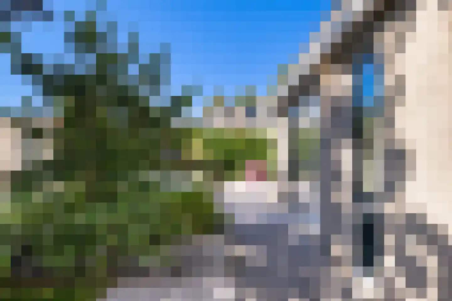 Iroko 151 Dordrecht thumbnail 21