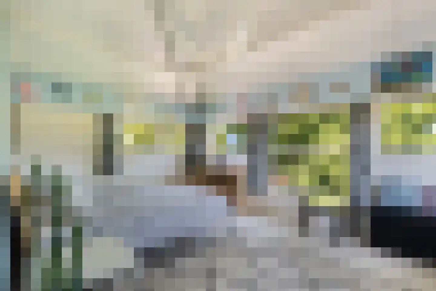 Iroko 151 Dordrecht thumbnail 37
