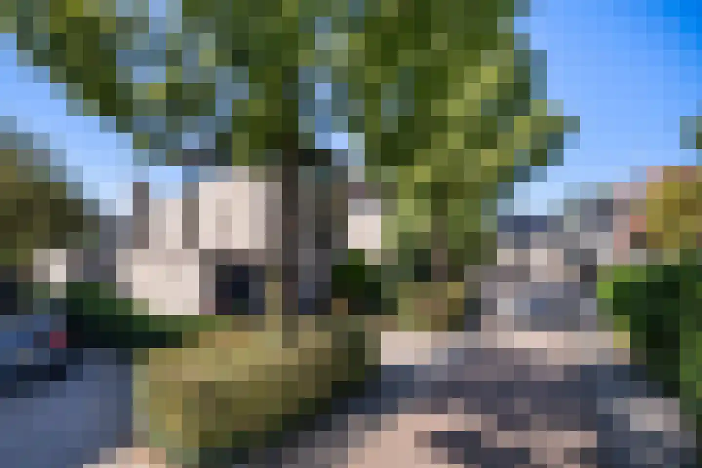 Iroko 151 Dordrecht thumbnail 40