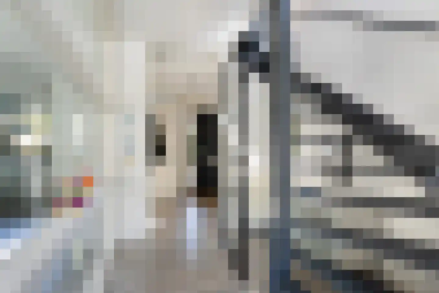 Iroko 151 Dordrecht thumbnail 7