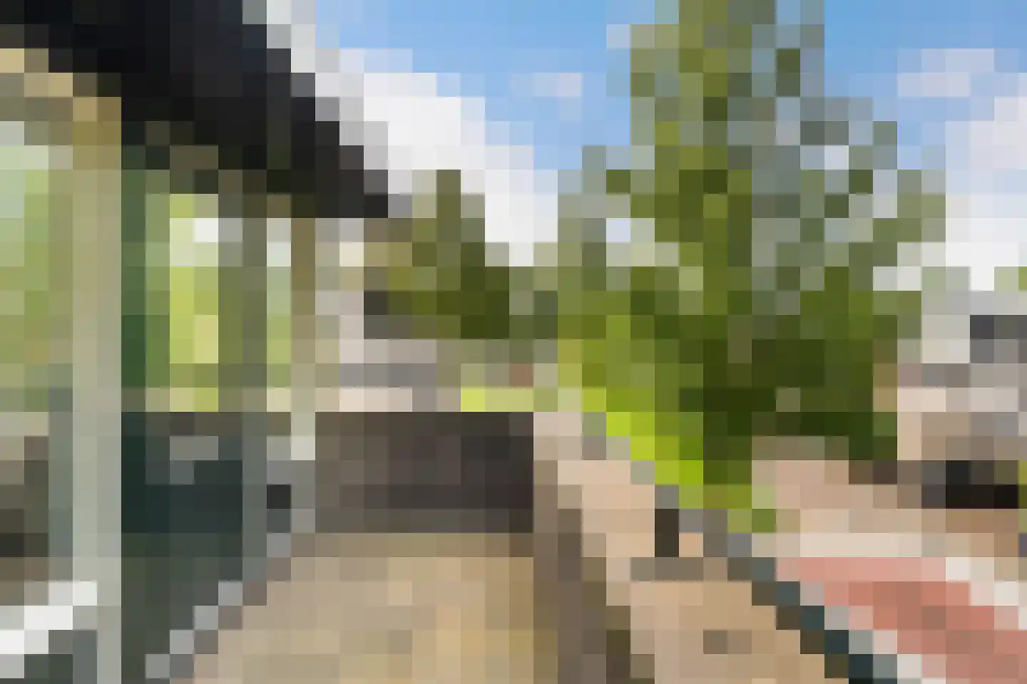Iroko 184 Dordrecht thumbnail 33