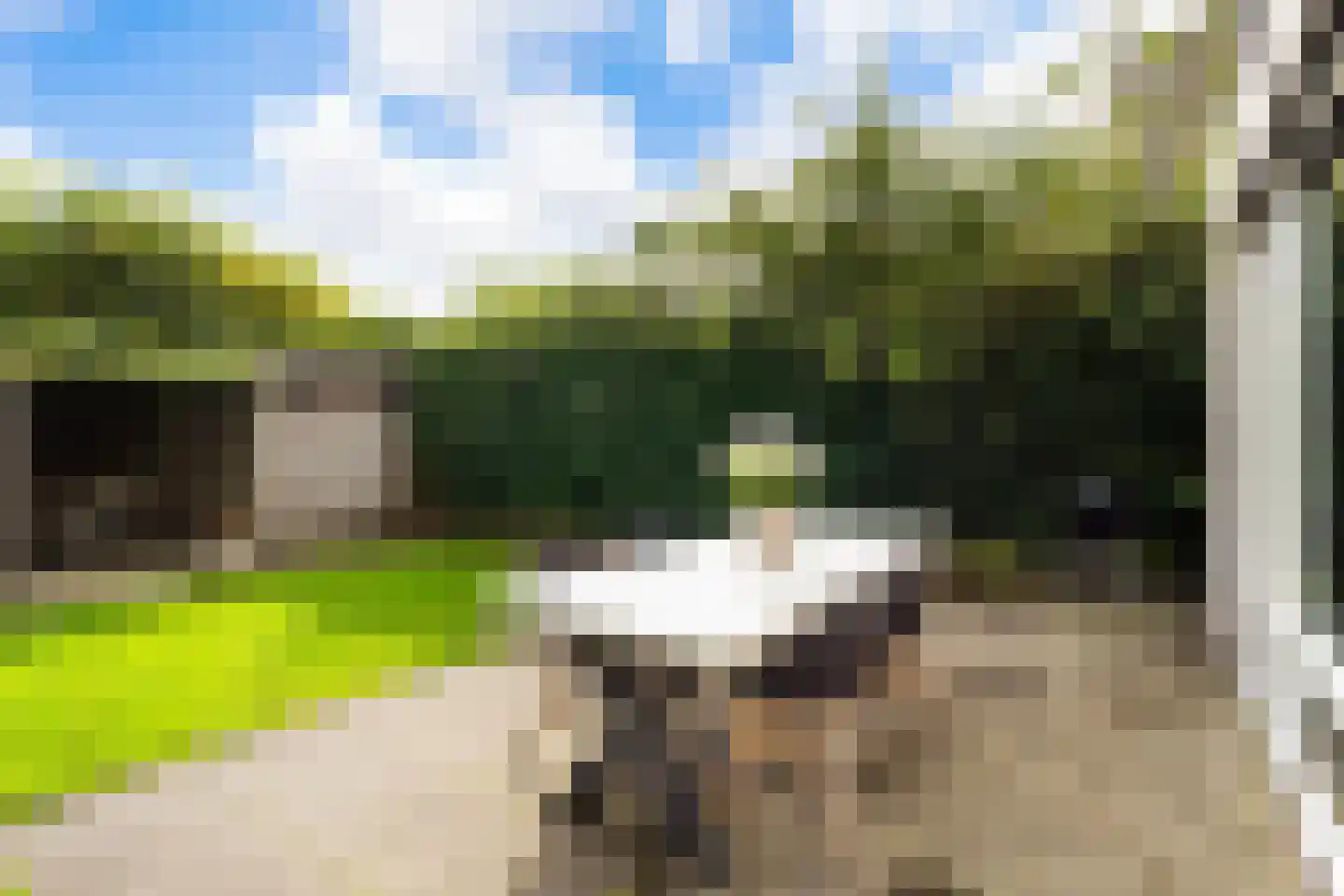 Iroko 184 Dordrecht thumbnail 36