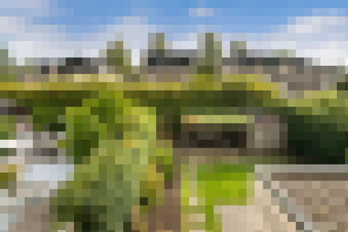 Iroko 184 Dordrecht thumbnail 5