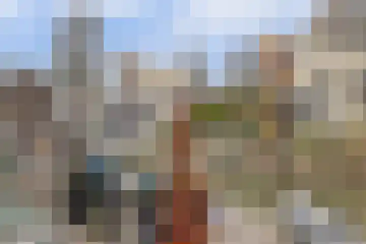 Iroko 194 Dordrecht thumbnail 51