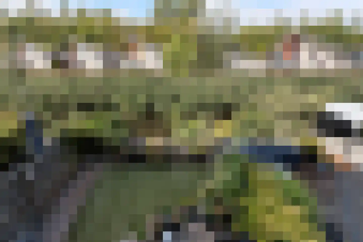 Iroko 207 Dordrecht thumbnail 14